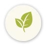 Leaf-Icon