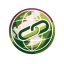 Website-Link